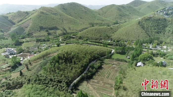 2025环浙步道系列赛开幕 西塞山越野汇聚千名跑者